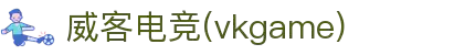威客电竞 - 让每一份电竞才华都更有价值